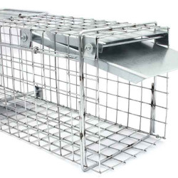 Humánna pasca na kuny, potkany a norky – účinné a bezpečné riešenie Humánna pasca na kuny, potkany a norky – účinné a bezpečné riešenie