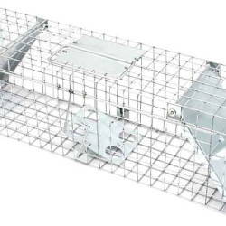 Jednovchodová vs. dvojvchodová pasca na kuny – ktorú si vybrať? Jednovchodová vs. dvojvchodová pasca na kuny – ktorú si vybrať?