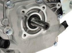Obr�zok (5)